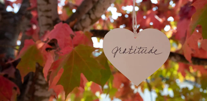 How To Show Gratitude Every Single Day